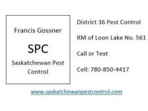 Pest Control Francis