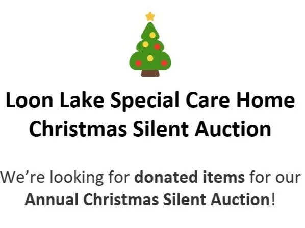 Loon Lake Care Home Auction Feature