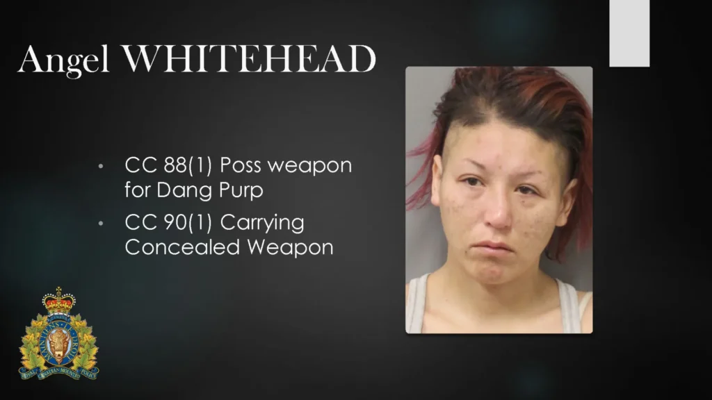 Wpp Adults Only For Public Jan2026 Page 24