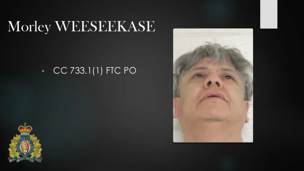 Wpp Adults Only For Public Jan2026 Page 50